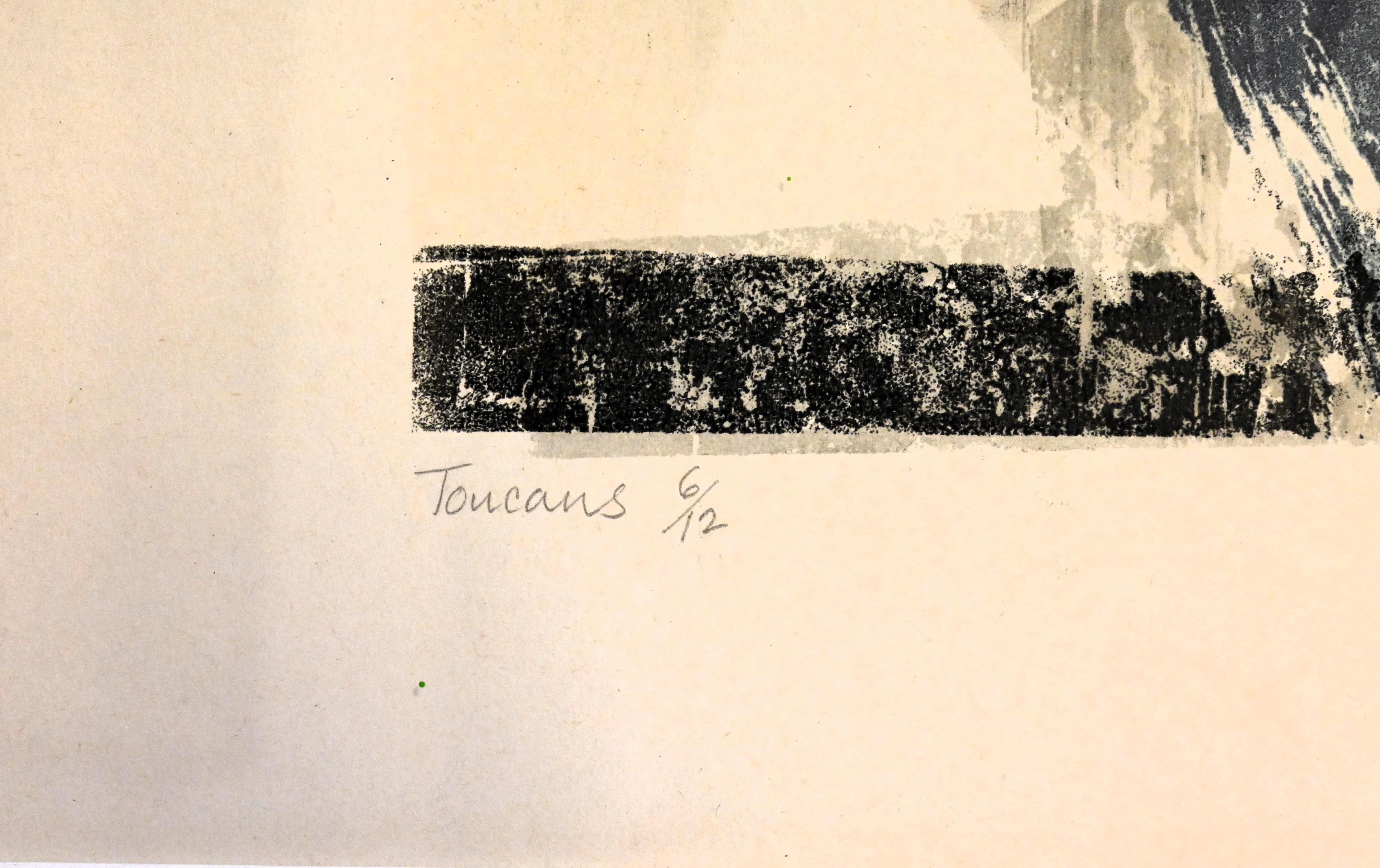 Sheila Jackson, (BRITISH 20TH CENTURY) 'Toucans' an expressive textured silkscreen print numbered - Bild 3 aus 4