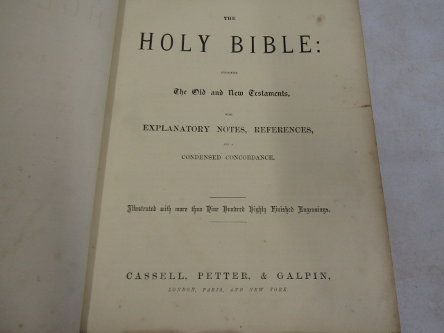 An illustrated family bible Cassel, Petter & Galpin - Bild 7 aus 14