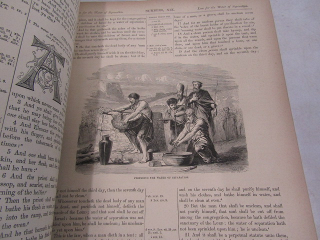 An illustrated family bible Cassel, Petter & Galpin - Image 9 of 14