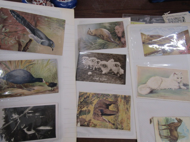 Various cigarette cards, Cricket Cards, Disney collector cards, Giles Jubilee book etc - Bild 3 aus 15