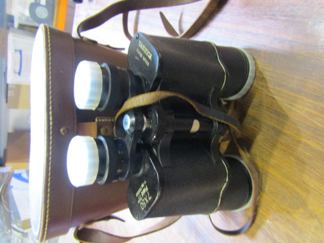 Pair binoculars in case