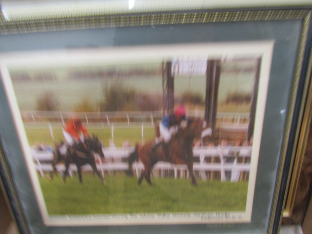 Horse racing photo's and few others - Bild 6 aus 18