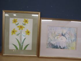 Pam Newton (Norfolk artist) watercolour 56x48cm and an unsigned watercolour of daffodils