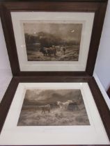 A pair antique Highland cattle etchings printed by Louis B Hurt, published by F.J Dennis 77x65cm