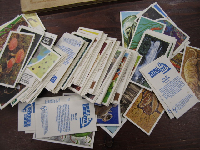 Vintage cigarette card books, loose modern cards and a bag of circulated stamps - Image 3 of 11