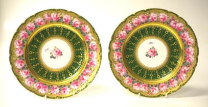Pair Royal Crown Derby signed painted plates