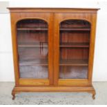 Antique 2 door bookcase