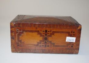 Antique specimen timber money box.