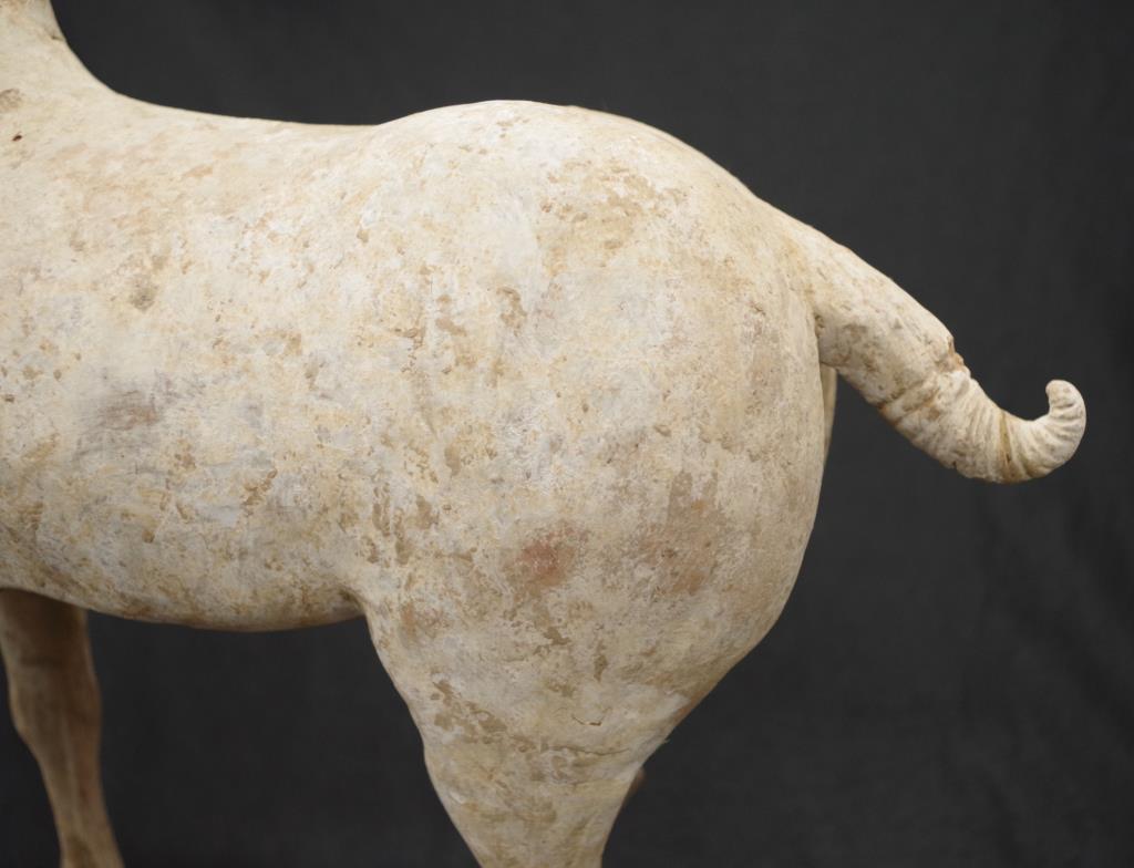 Chinese Tang earthenware figure of a horse - Image 4 of 9