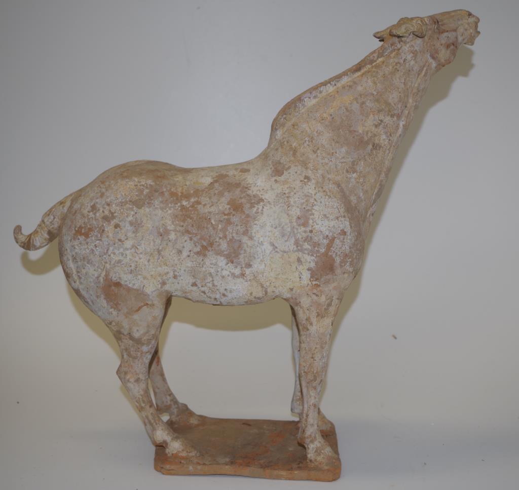 Chinese Tang earthenware figure of a horse - Image 7 of 9