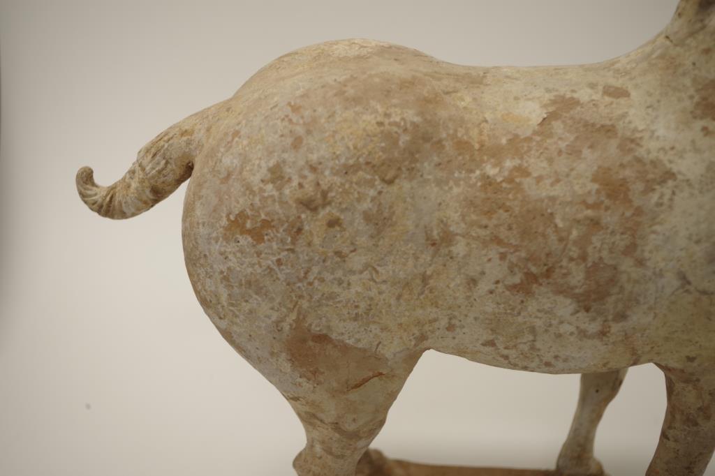 Chinese Tang earthenware figure of a horse - Image 8 of 9