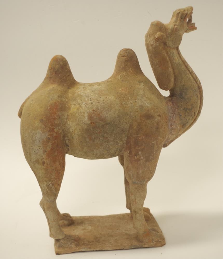 Chinese Tang earthenware figure of a camel & rider - Image 8 of 9