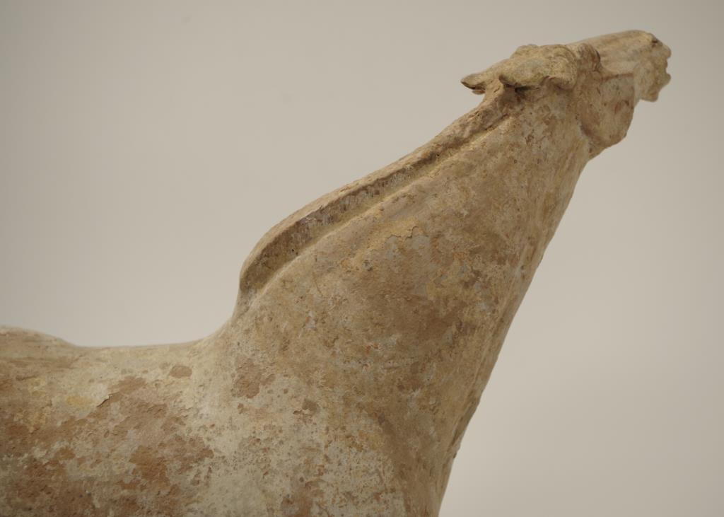 Chinese Tang earthenware figure of a horse - Image 9 of 9