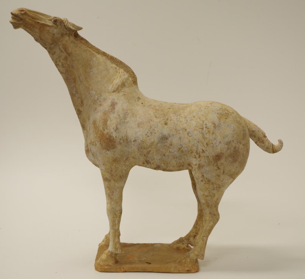 Chinese Tang earthenware figure of a horse - Image 5 of 9