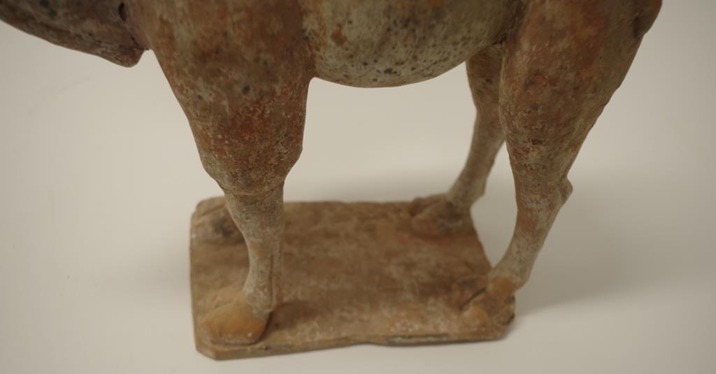 Chinese Tang earthenware figure of a camel & rider - Image 7 of 9