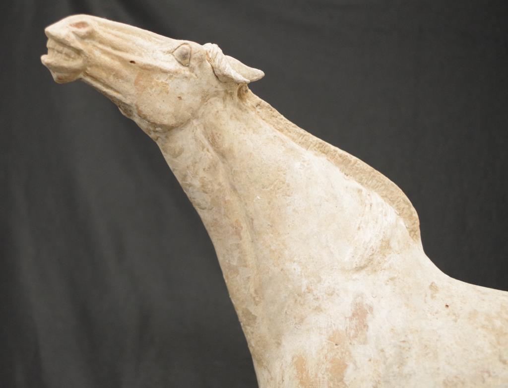 Chinese Tang earthenware figure of a horse - Image 2 of 9