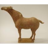 Chinese Tang earthenware figure of a horse