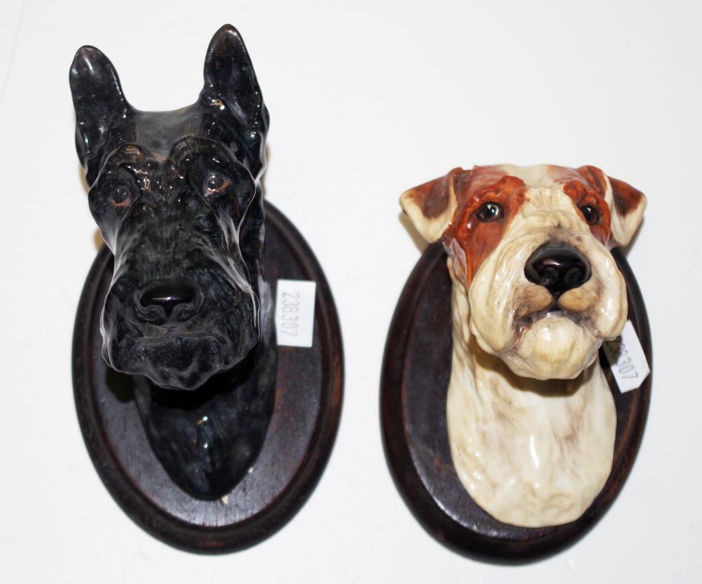 Two rare Royal Doulton Wall mounted dog heads - Image 5 of 5