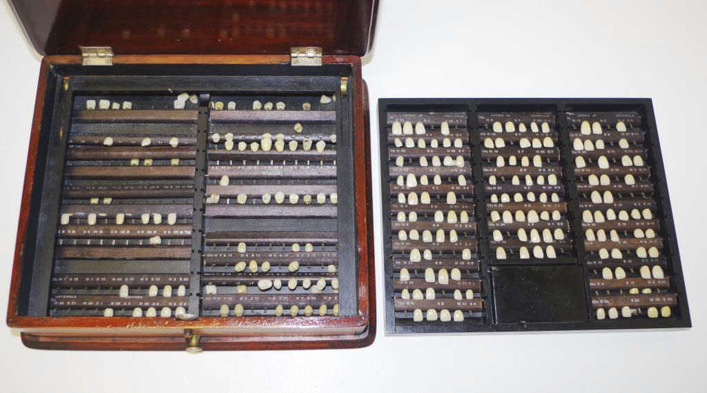 Antique Dentist's Supply Company Tooth Display Box - Image 2 of 5