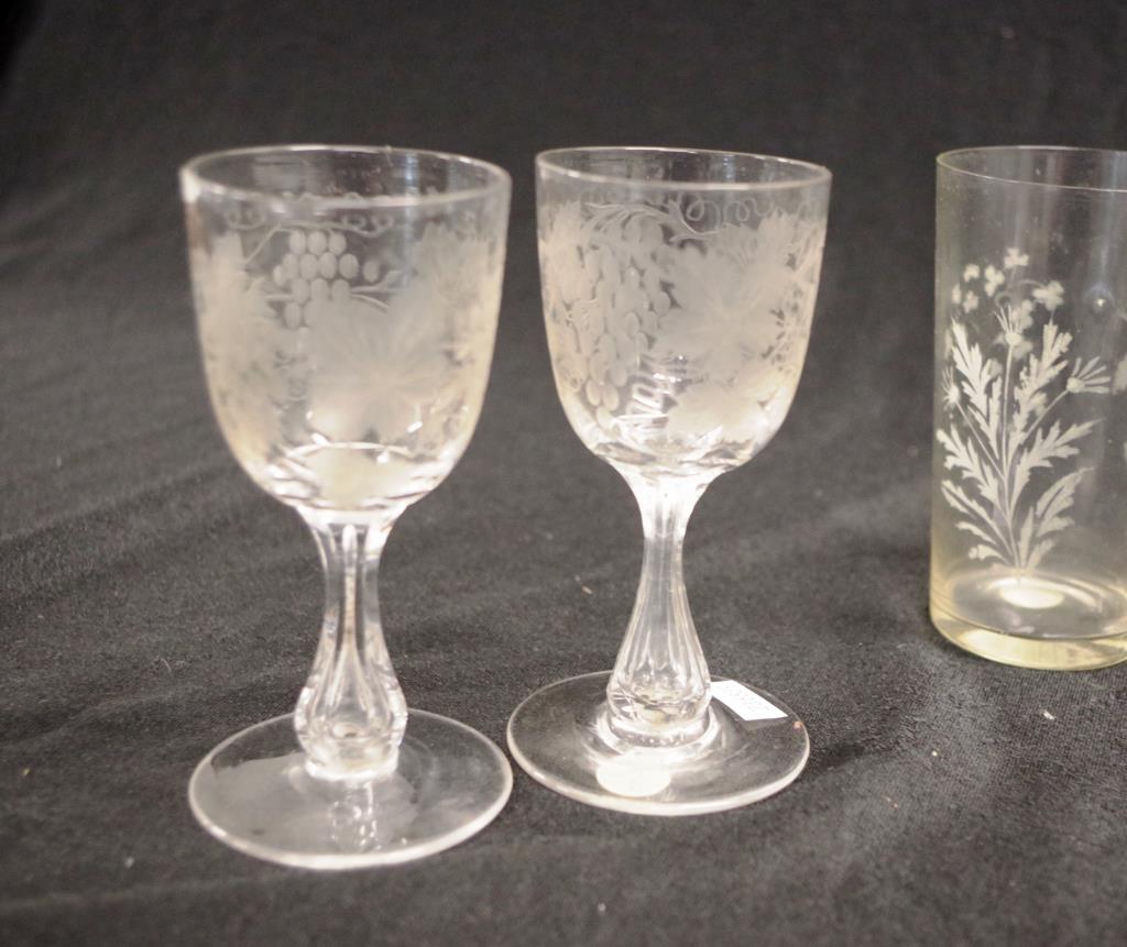 Collection Victorian etched table glasses - Image 4 of 4