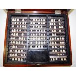 Antique Dentist's Supply Company Tooth Display Box