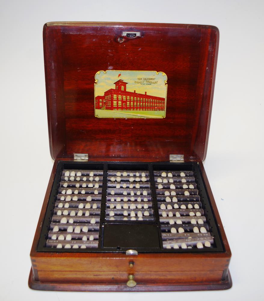 Antique Dentist's Supply Company Tooth Display Box - Image 3 of 5