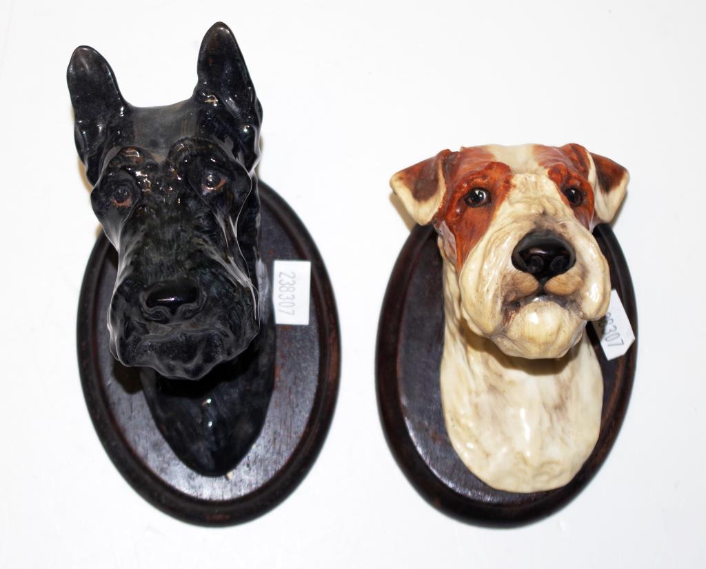 Two rare Royal Doulton Wall mounted dog heads