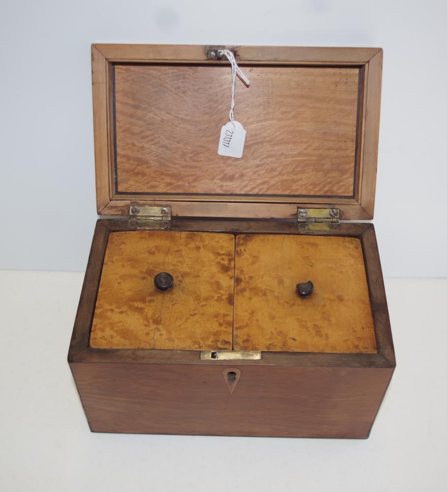 Georgian rectangular satinwood tea caddy - Image 3 of 5