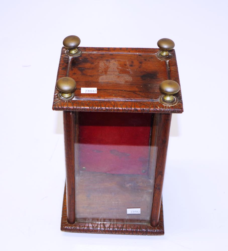 Antique French specimen display case - Image 2 of 4