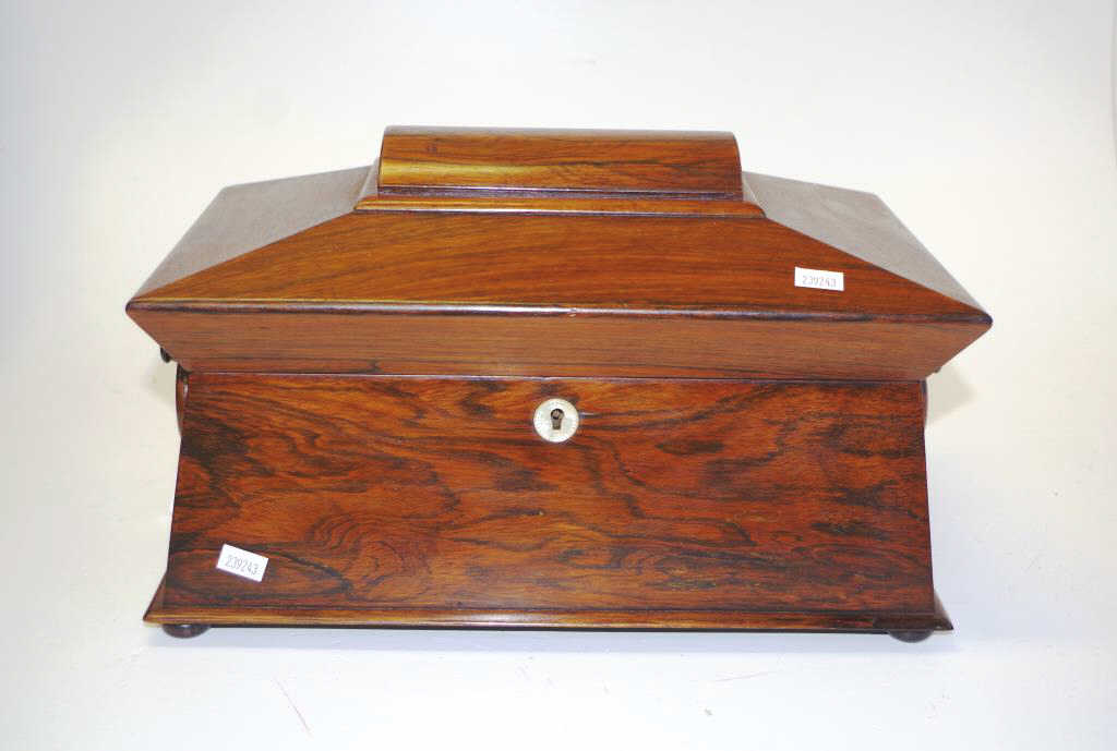 William IV rosewood tea caddy on four bun feet