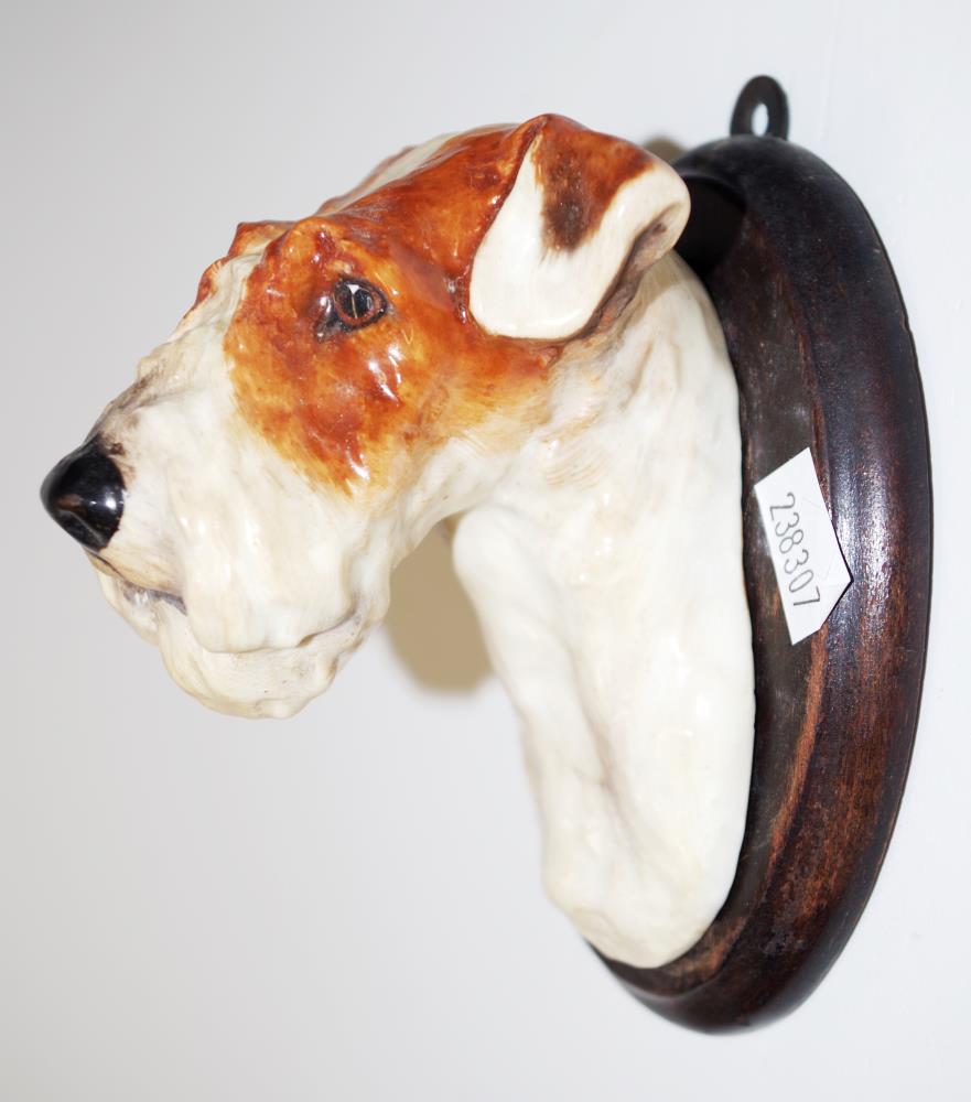 Two rare Royal Doulton Wall mounted dog heads - Image 3 of 5