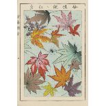 Hasegawa, Kiko: Japanische Ornamente. Blockbuch mit 23 Doppelblättern