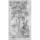 Plantarum, arborum, fructium: et herbarum effigies Frankfurt, Egenolffs Erben, 1562