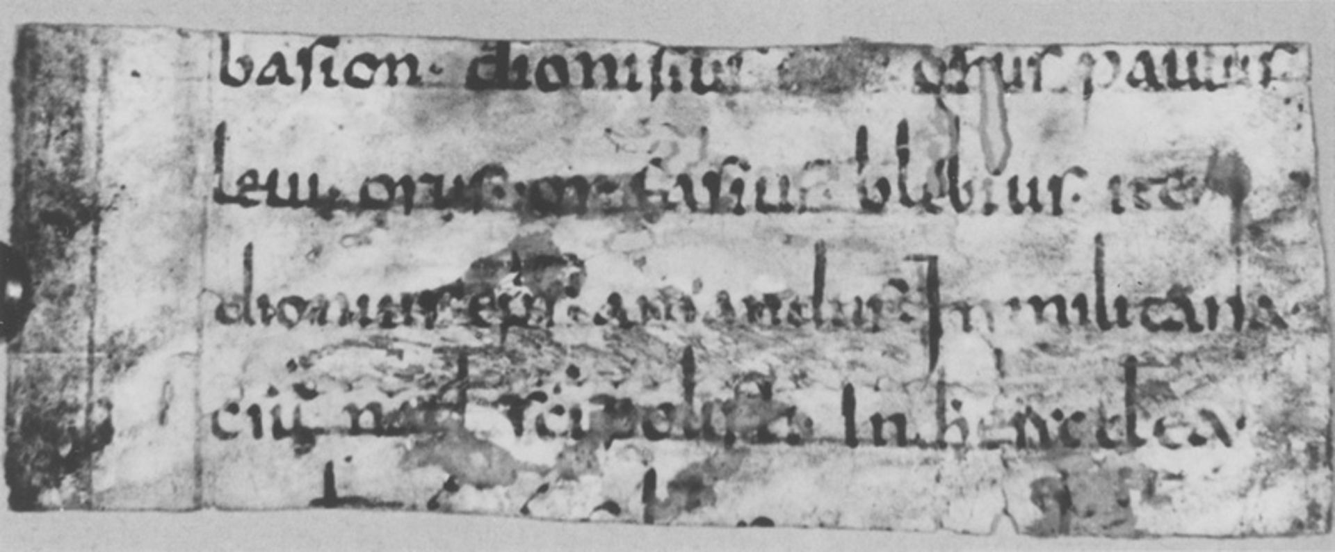 Martyrologium hieronymianum: Fragment eines Blattes einer lateinischen Handschrift au... - Image 2 of 2
