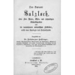 Hoffmann, Heinrich: Der Badeort Salzloch