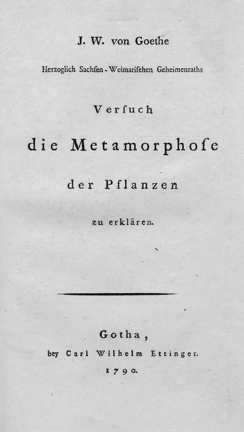 Goethe, Johann Wolfgang von: Versuch die Metamorphose der Pflanzen zu erklären