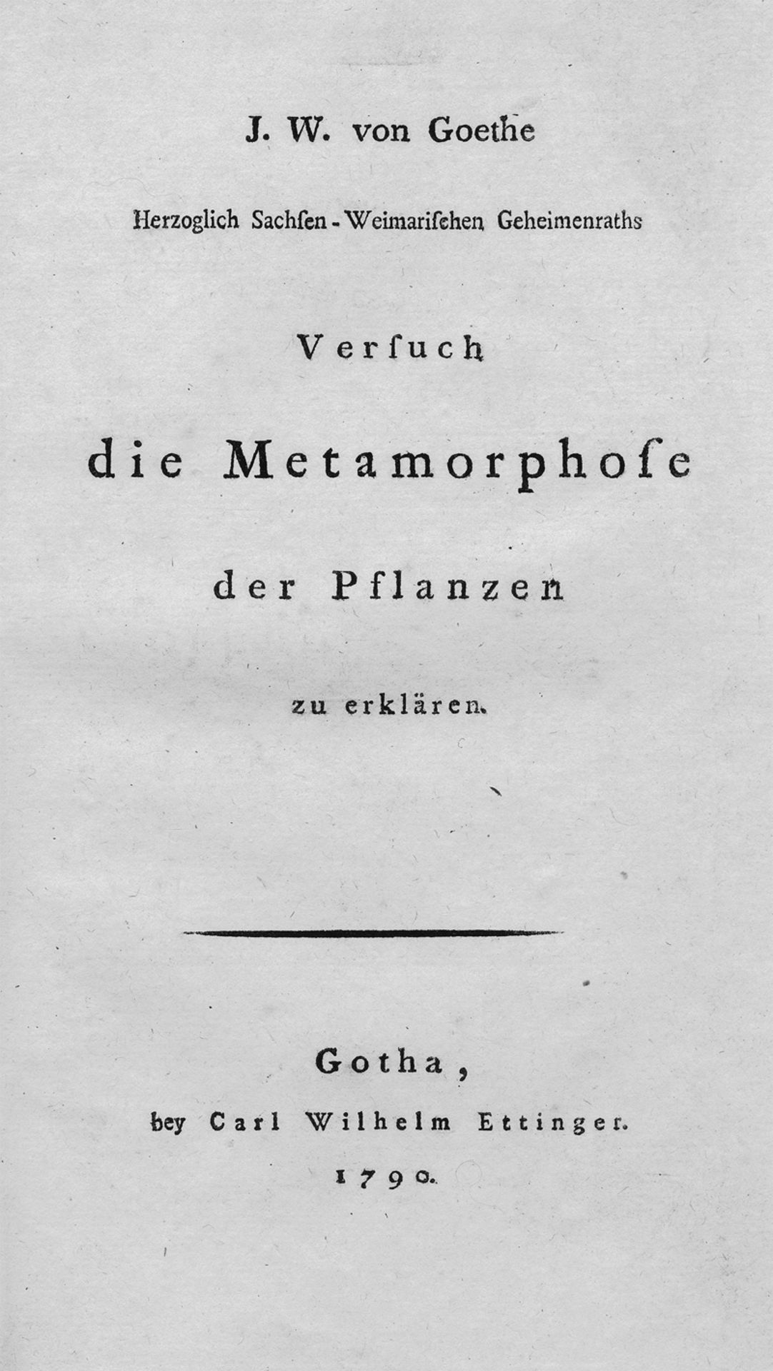 Goethe, Johann Wolfgang von: Versuch die Metamorphose der Pflanzen zu erklären
