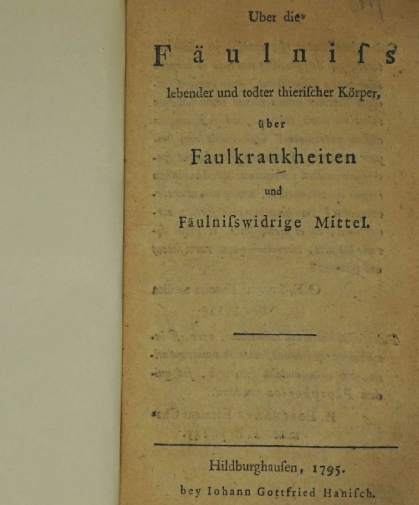 Hecker, August Friedrich: Über die Fäulniss lebender und todter thierischer Körper...
