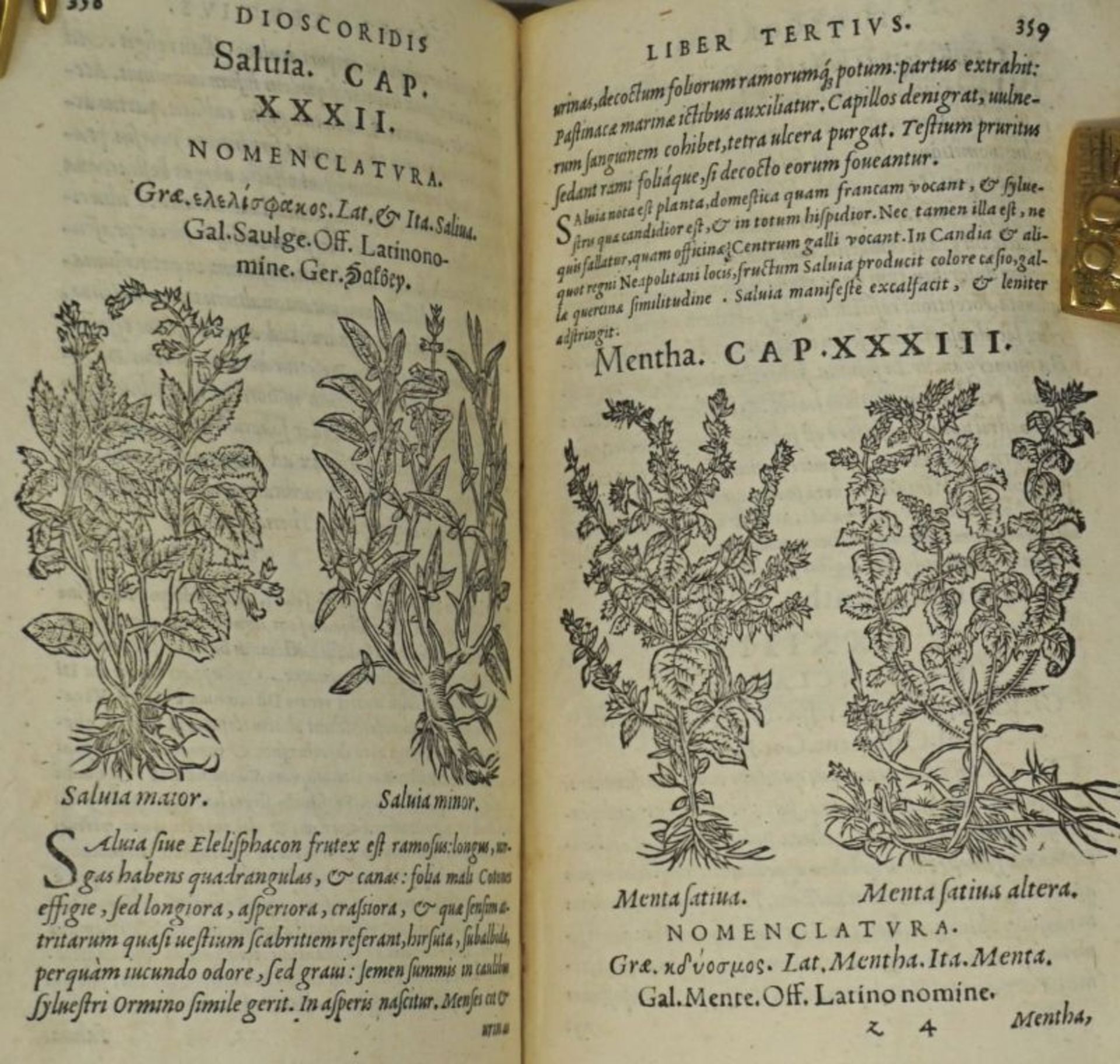 Dioscorides, Pedanius: De medicinali materia libri sex