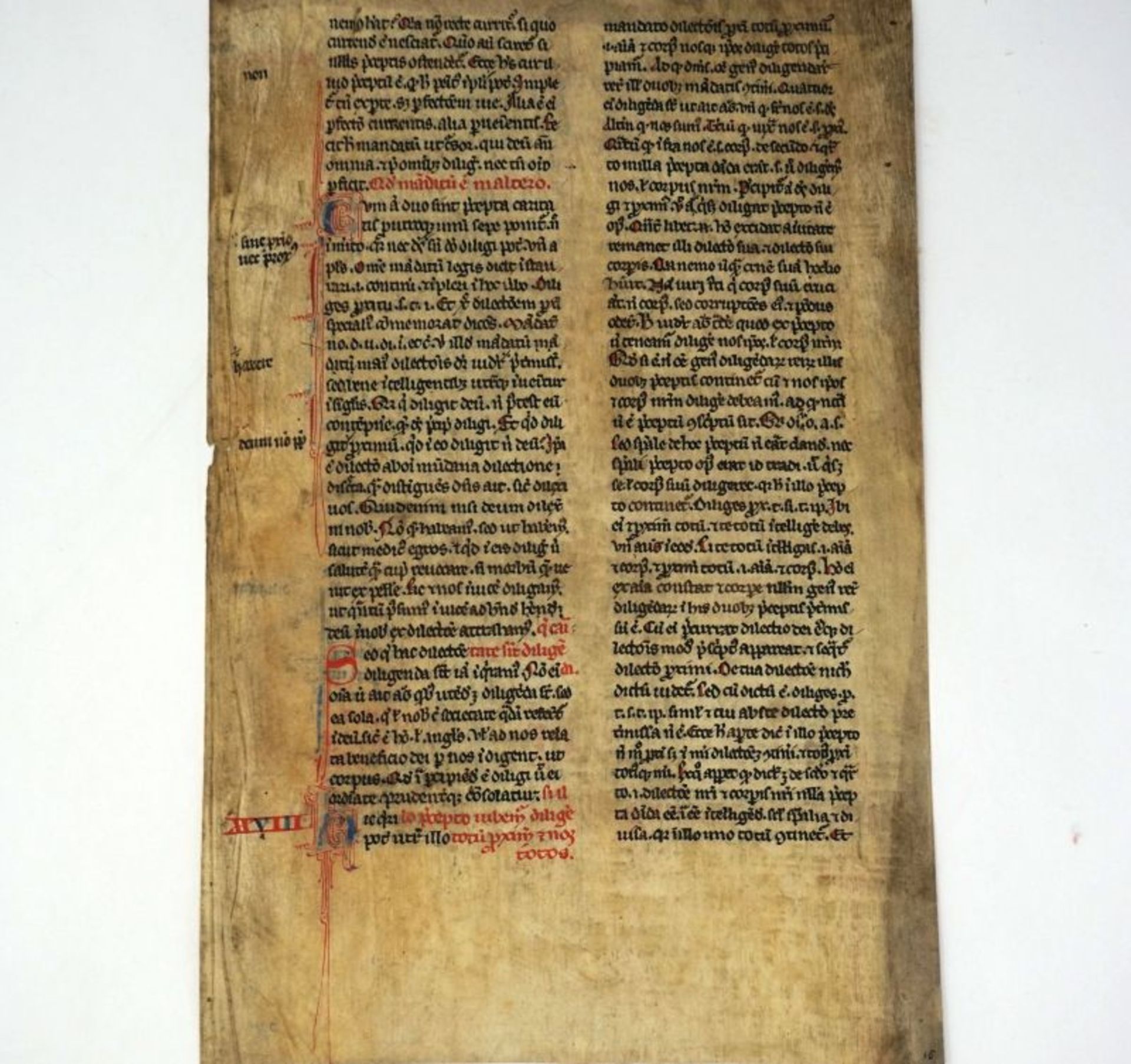 Petrus Lombardus:  Sententia. Lateinische Handschrift auf Pergament
