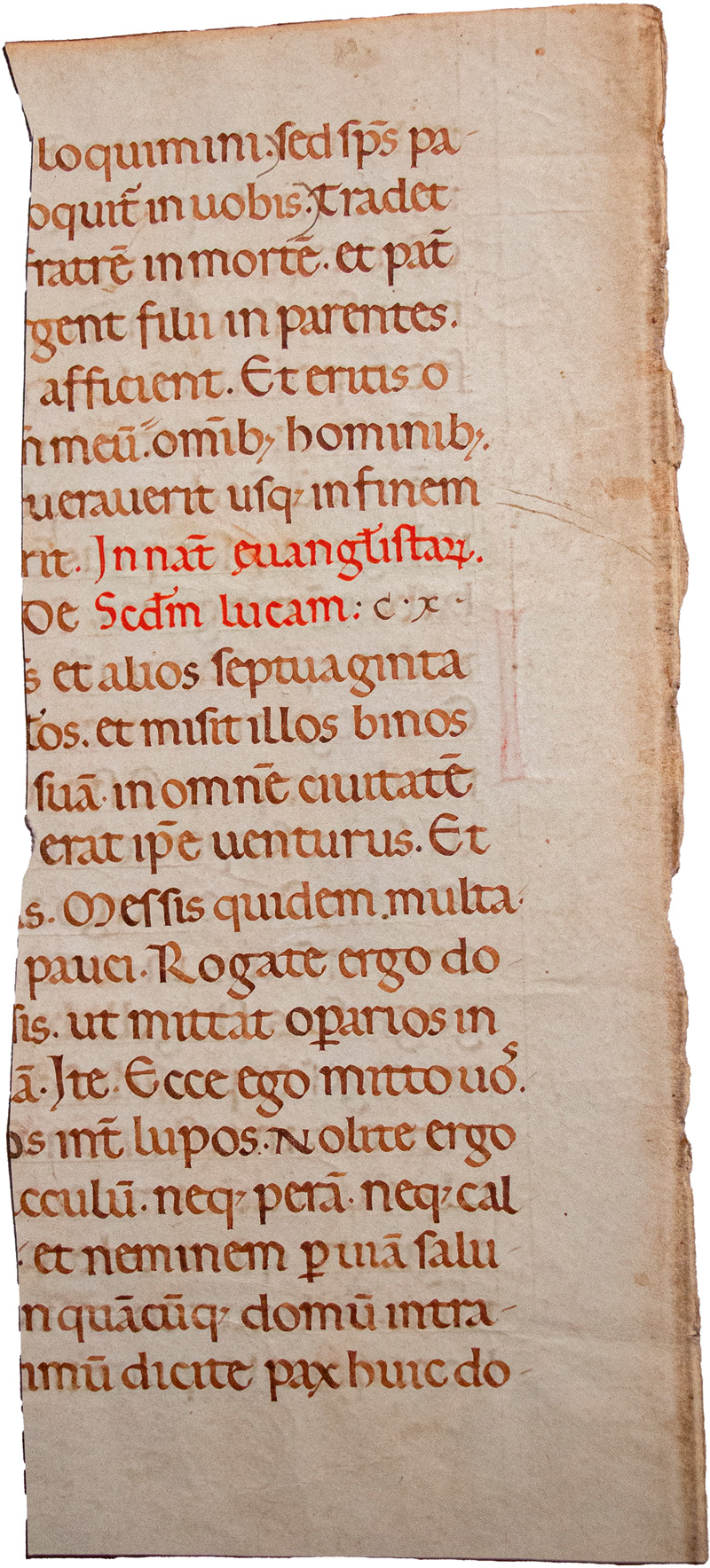 Evangelienlektionar: Fragmentblatt einer lateinischen Handschrift auf Pergame... - Image 2 of 2