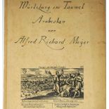 Meyer, Alfred Richard: Würzburg im Taumel