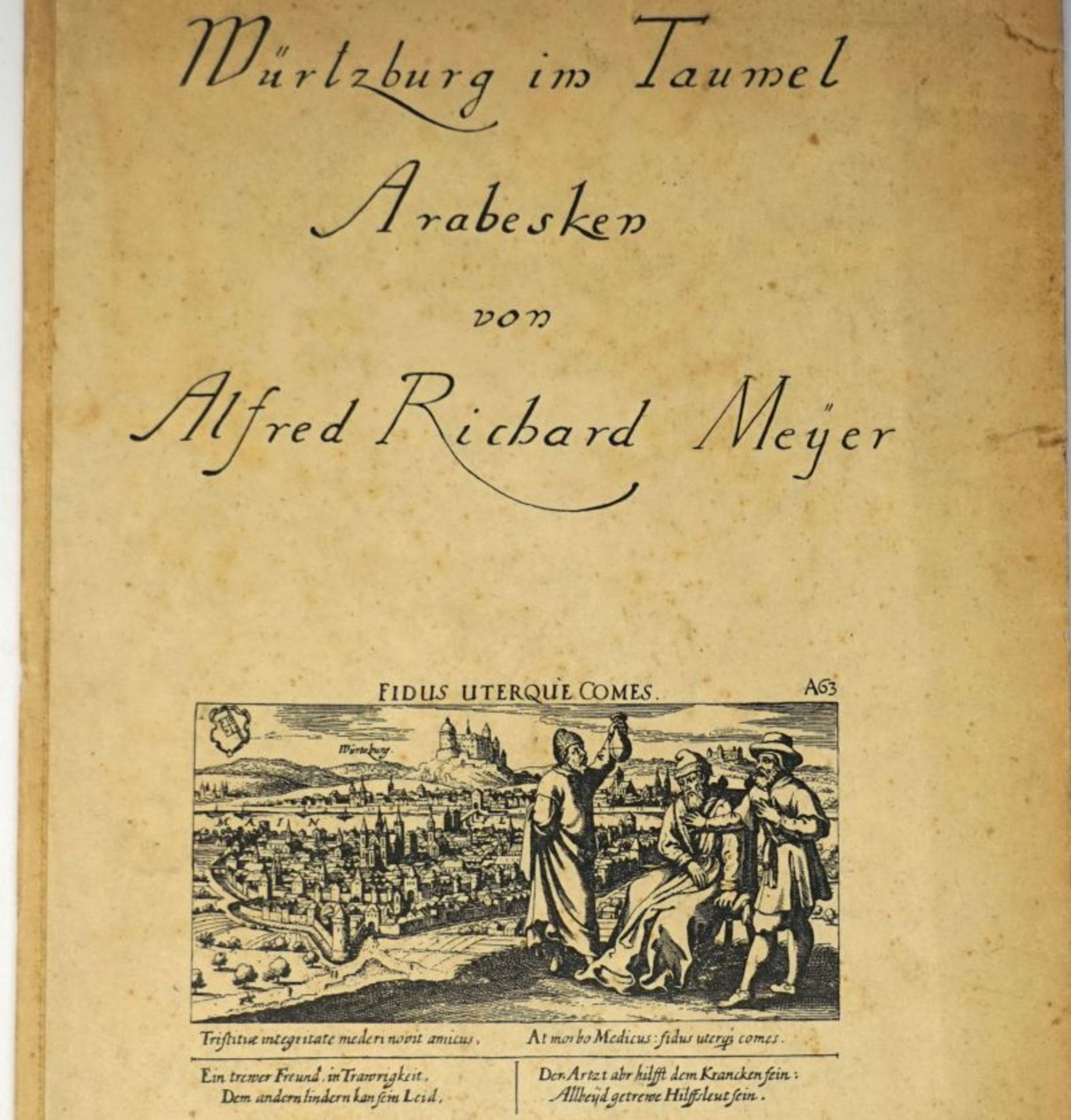 Meyer, Alfred Richard: Würzburg im Taumel