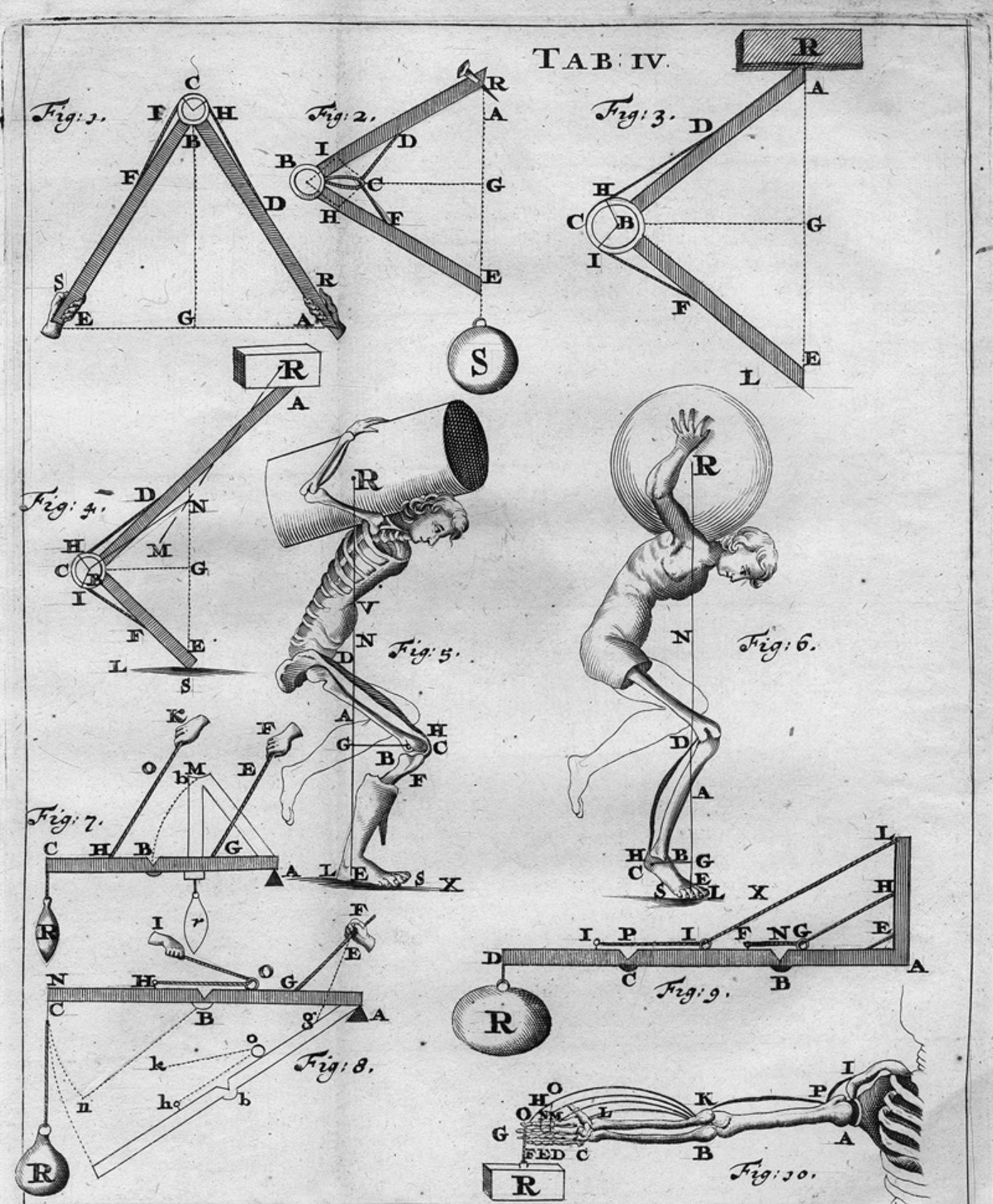 Borelli, Giovanni Alfonso: De motu animalium