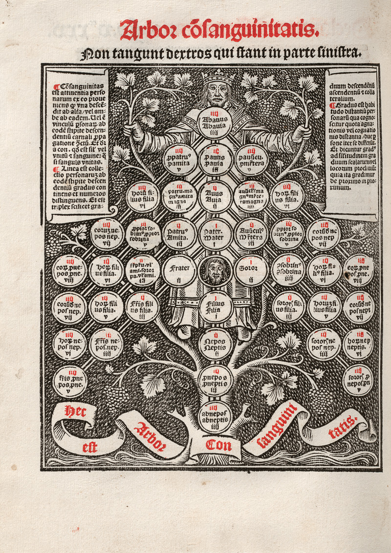 Gratianus de Clusio: Decreti huius plenissimum argumentum