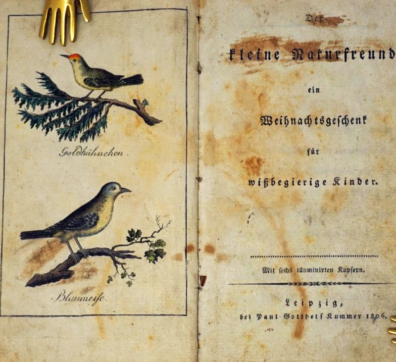 Höpfner, Johann Georg Christian: Der kleine Naturfreund