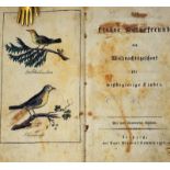 Höpfner, Johann Georg Christian: Der kleine Naturfreund 