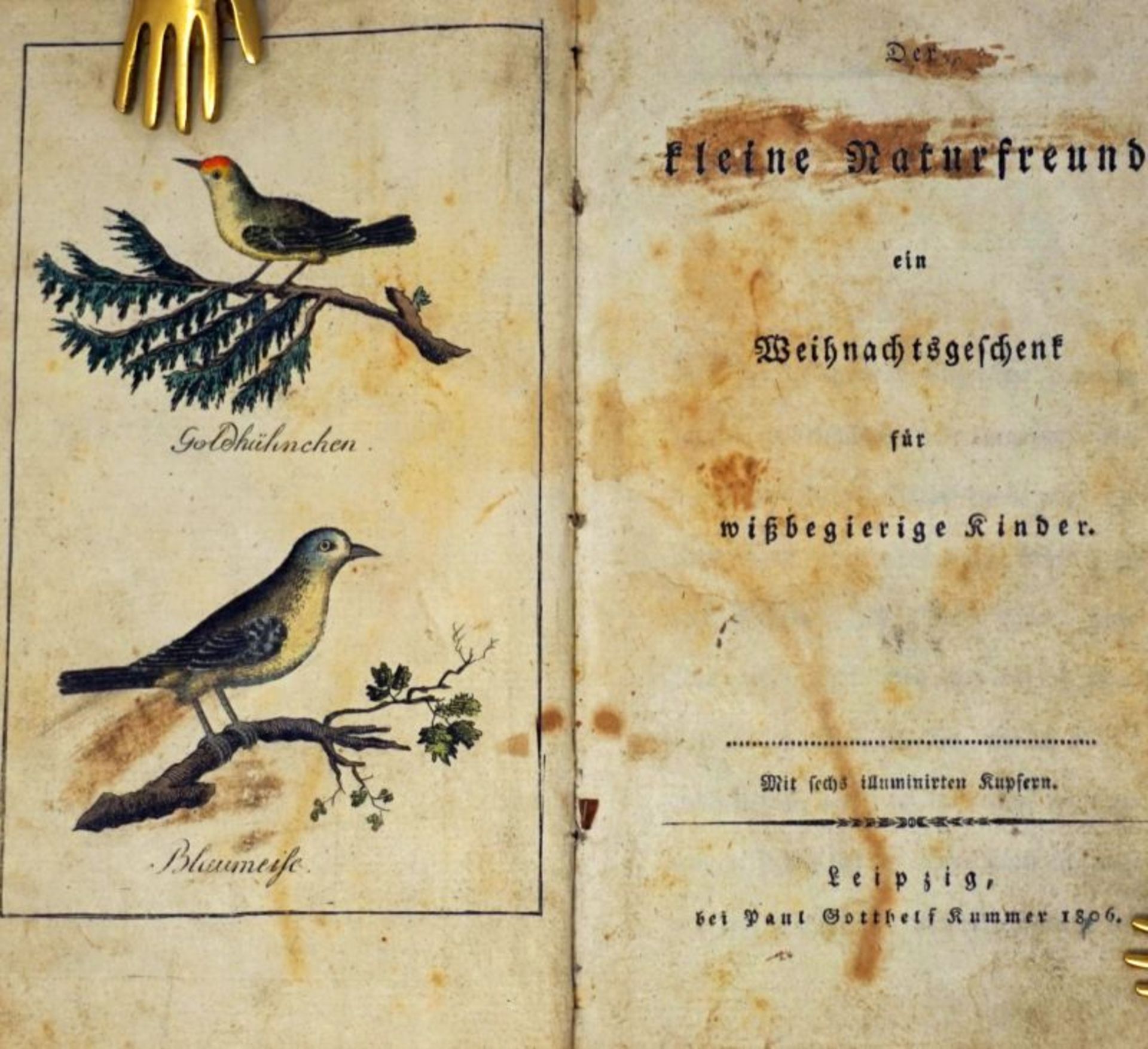 Höpfner, Johann Georg Christian: Der kleine Naturfreund 