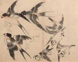 Bairei, Kôno: Skizzenblatt mit Darstellungen von Vögeln. Zweifarbige G...