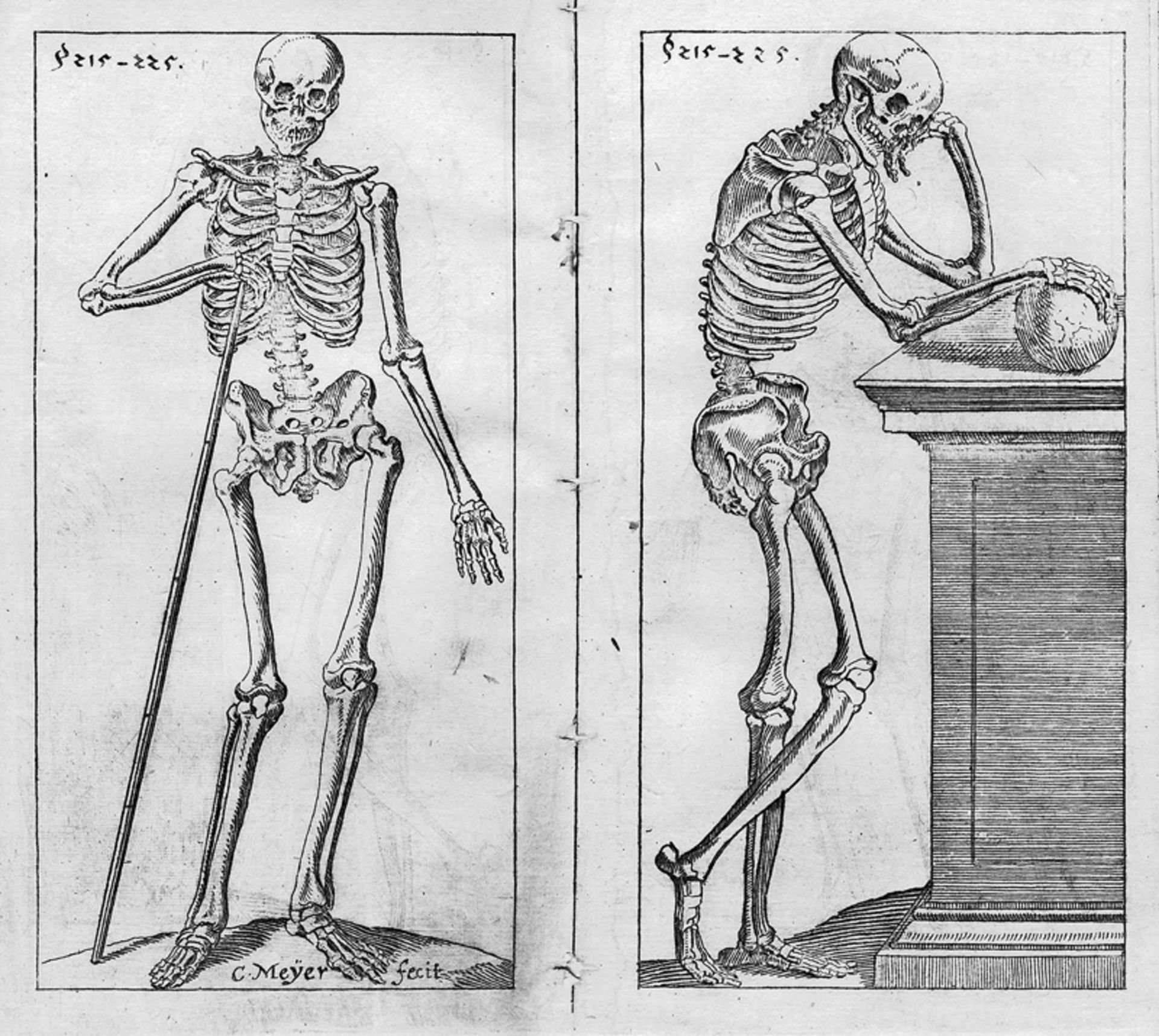 Comenius, Johann Amos: Eruditionis scholasticae Janua